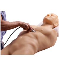 Simulation Simulation
