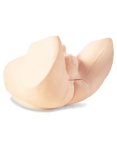 M53B Prostate Examination Simulator