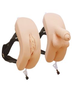 Strap-on Catheterization/Enema Simulator