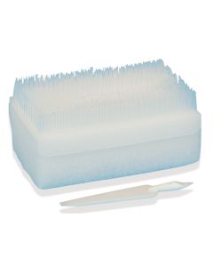 Chlorexidina Scrub Kit dispenser (30)