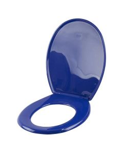 Standard Toilet Seat - Blue