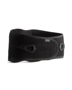 Aspen Lumbar Support