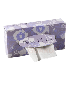 Facial Tissues (40 x 100 sheets)